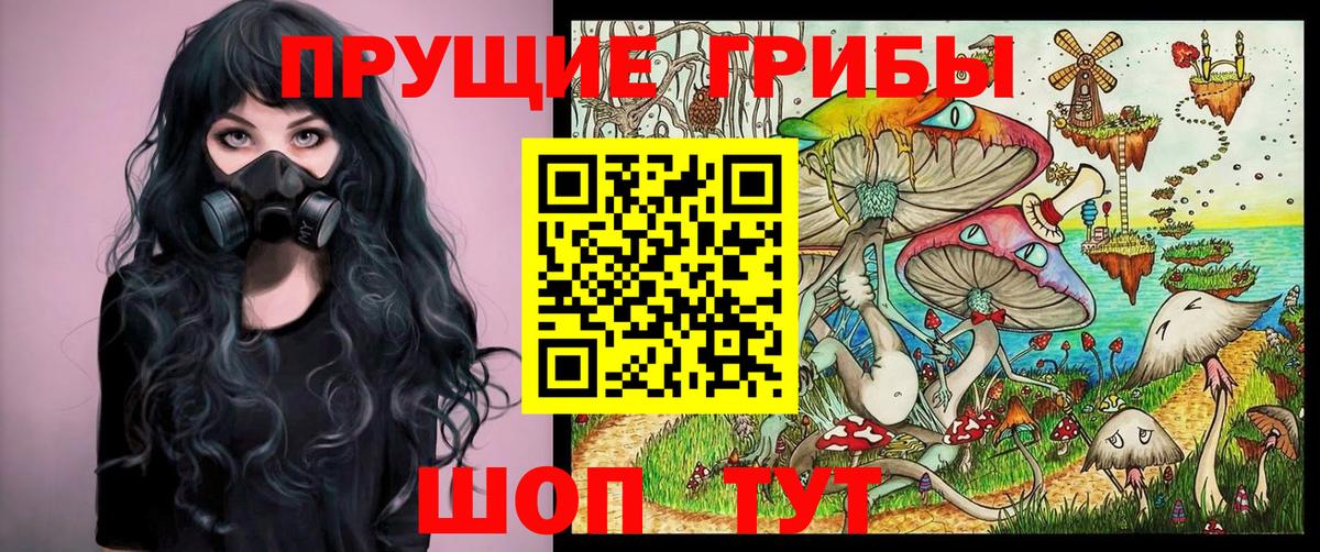 закладка  Галлюциногенные грибы MAGIC MUSHROOMS  Вход с VPN  Новый Уренгой  Псилоцибиновые грибы Psilocybine cubensis 