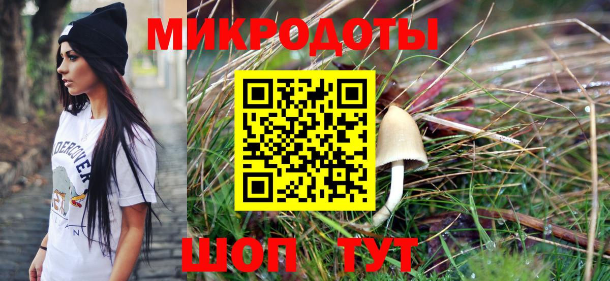 Галлюциногенные грибы Psilocybe Новый Уренгой